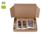 Grüner Tee Test-Set ROASTED Grüner Tee Test-Set ROASTED -oryoki verkäufe gruener tee test set roasted3