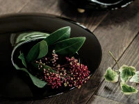 Ikebana-Vase Mammals L, schwarz Ikebana-Vase Mammals L, Schwarz -oryoki verkäufe ikebana vase mammals l schwarz3