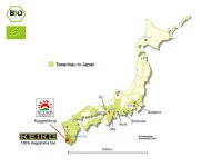 KEIKO Kabusecha Dan 50 g Frischebeutel KEIKO Kabusecha Dan 50 G Frischebeutel -oryoki verkäufe keiko kabusecha dan 50 g frischebeutel6